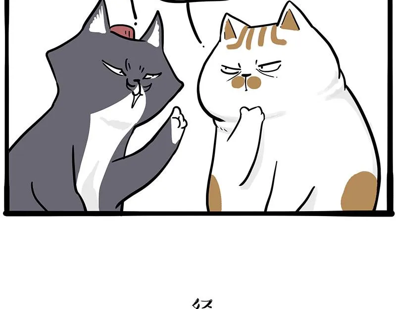 第320话 猫孵鱼 第19页