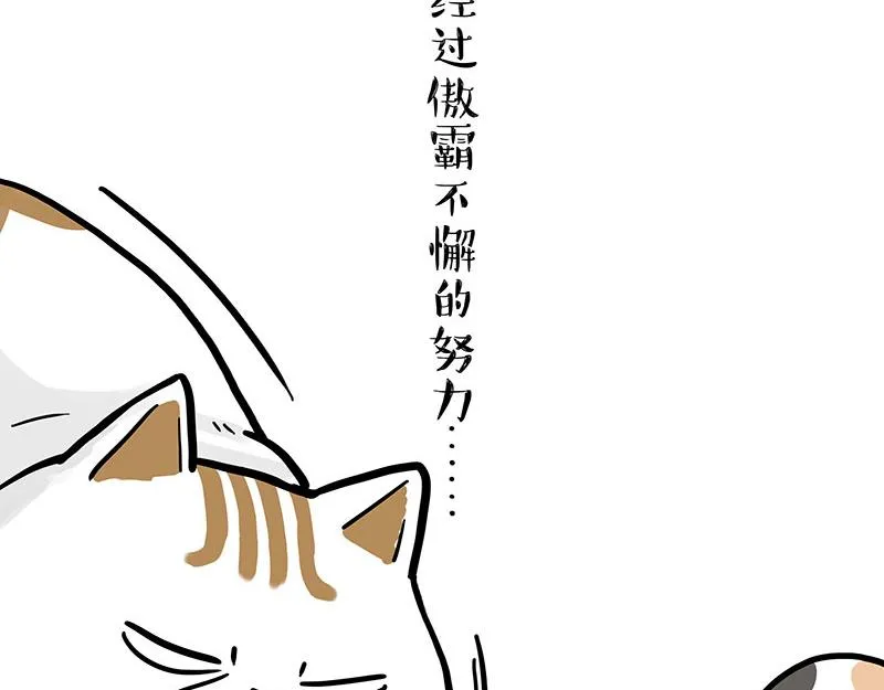 第320话 猫孵鱼 第20页