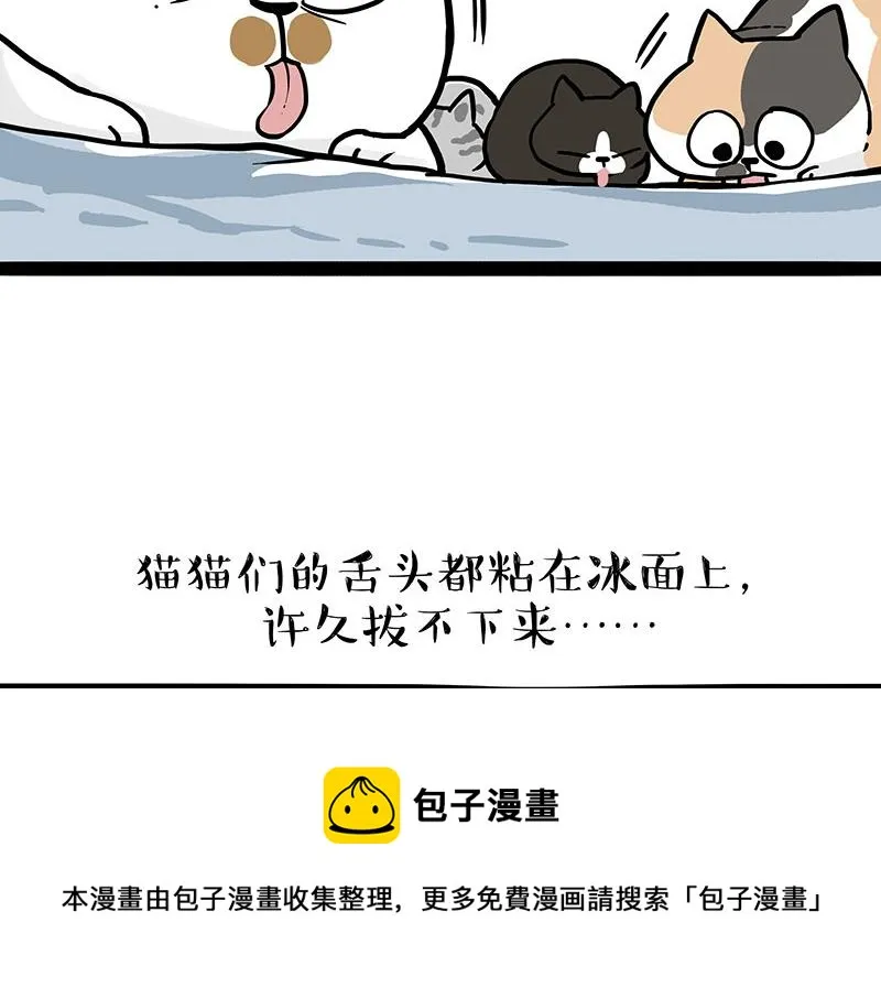 第320话 猫孵鱼 第21页