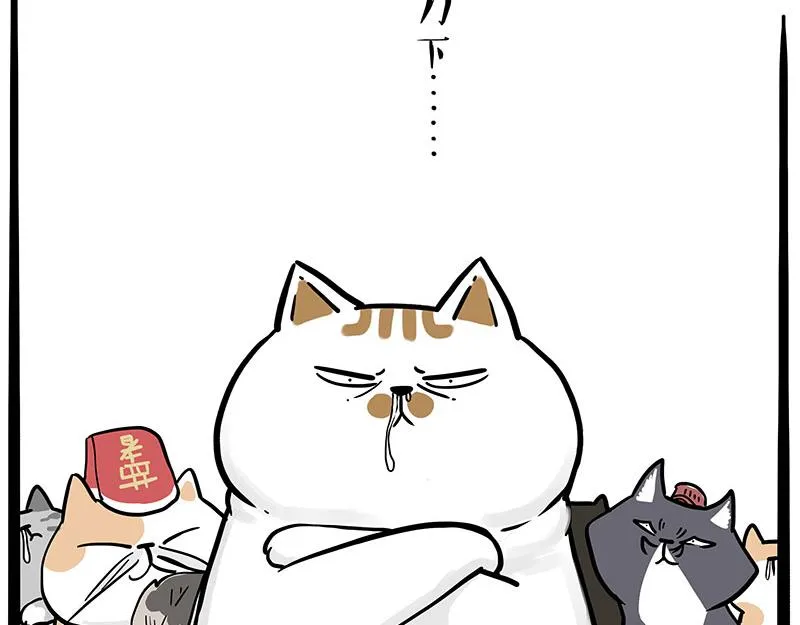 第320话 猫孵鱼 第31页