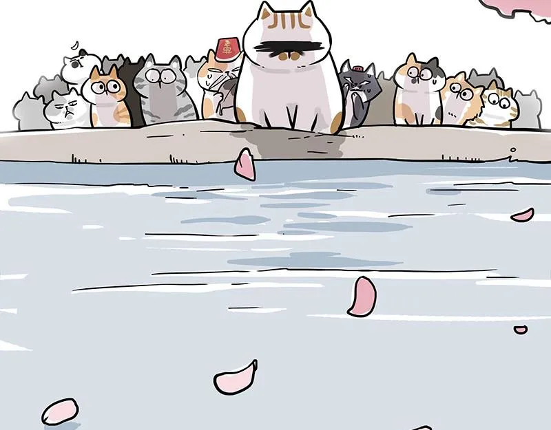 第320话 猫孵鱼 第35页