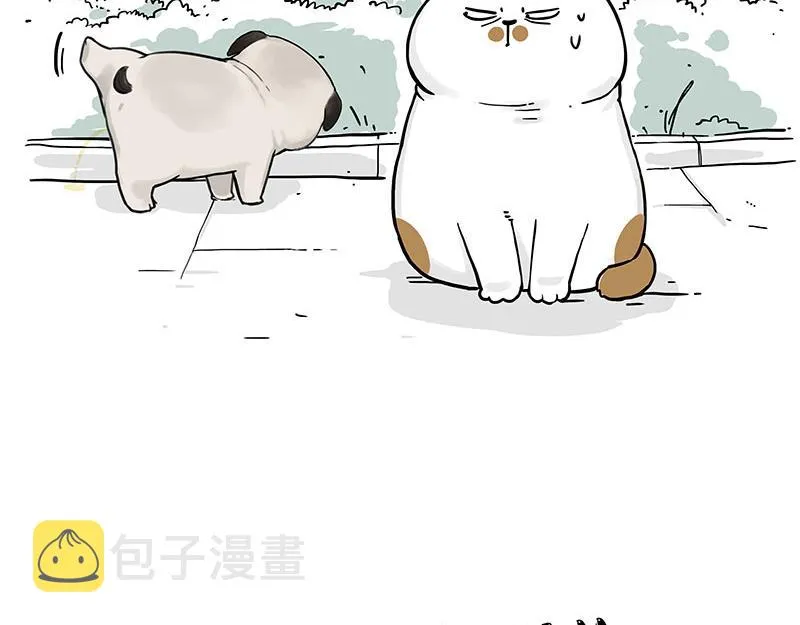 第317话 社交密码 第4页