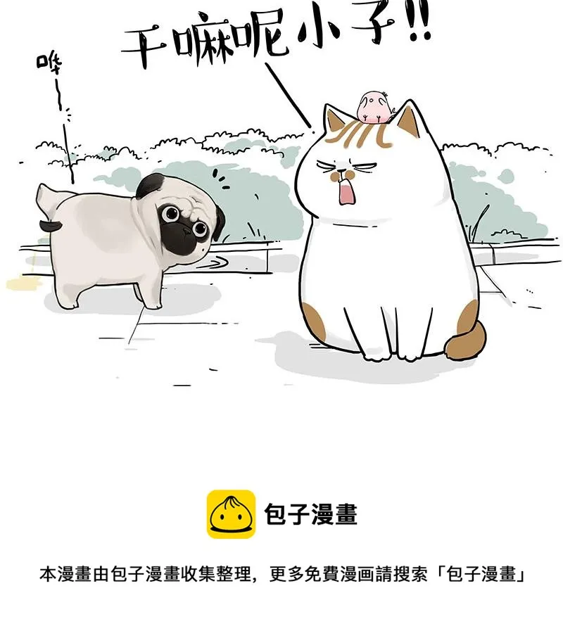 第317话 社交密码 第5页
