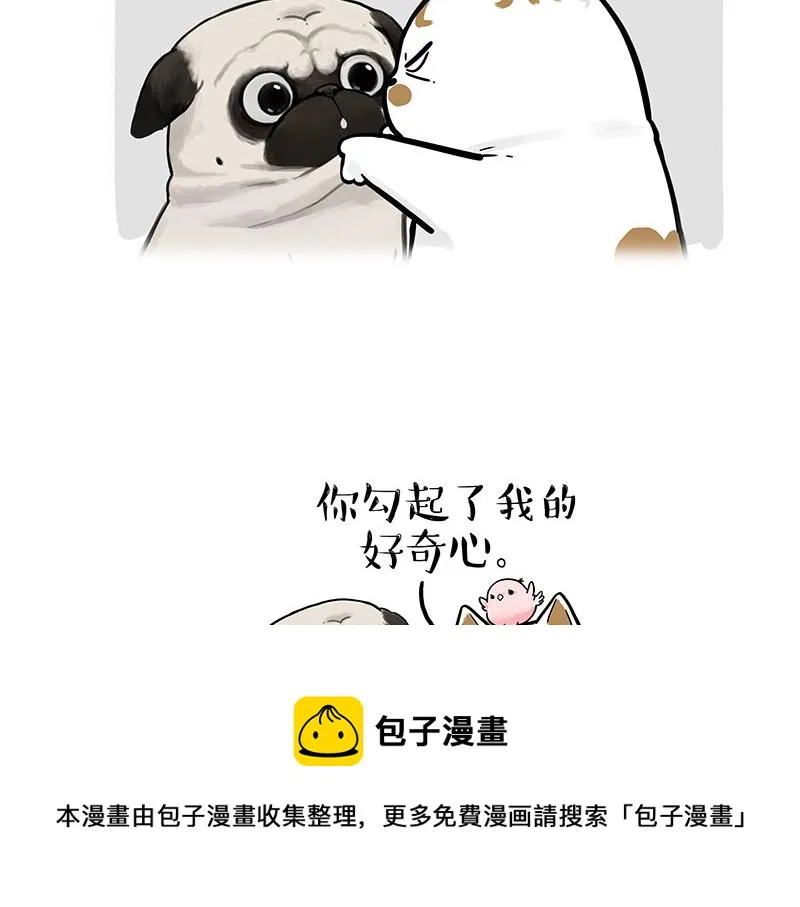 第317话 社交密码 第13页