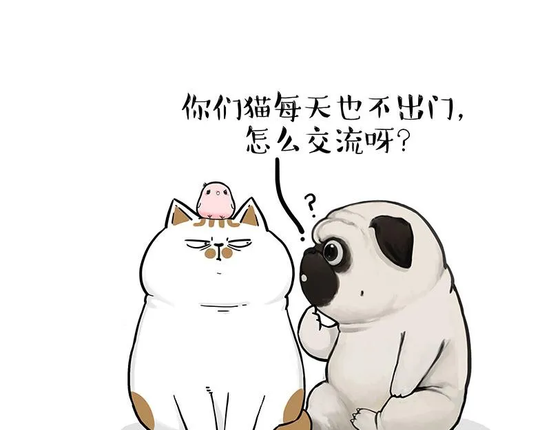 第317话 社交密码 第23页