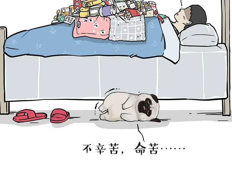 第316话 猎杀时刻 第43页