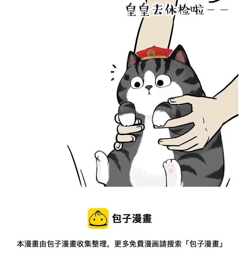 第315话 吾皇也有烦恼 第13页
