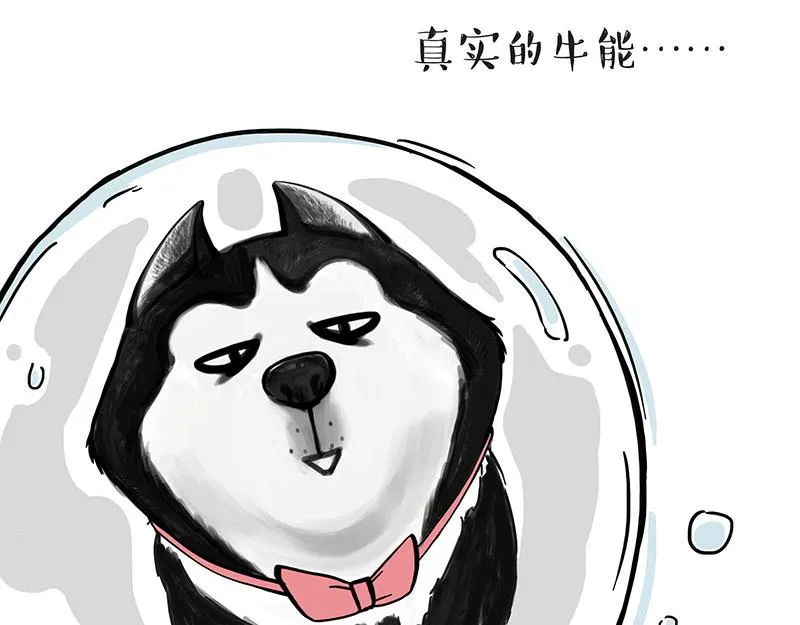 第313话 打工真谛 第20页