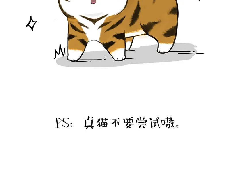 第312话 来点年味 第47页