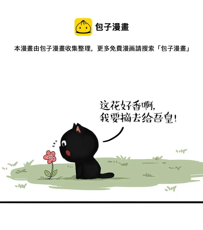 第311话 抓不住！ 第1页