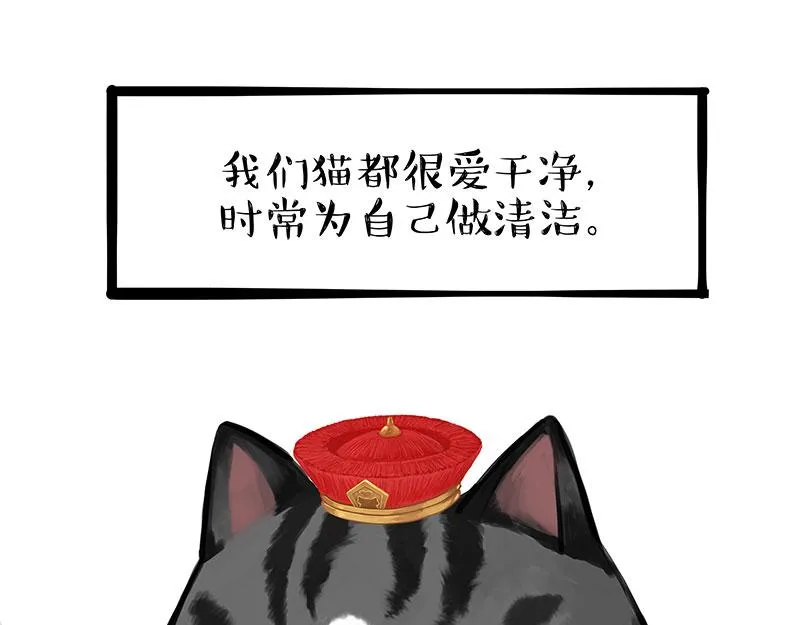 第310话 黑里寻黑 第14页