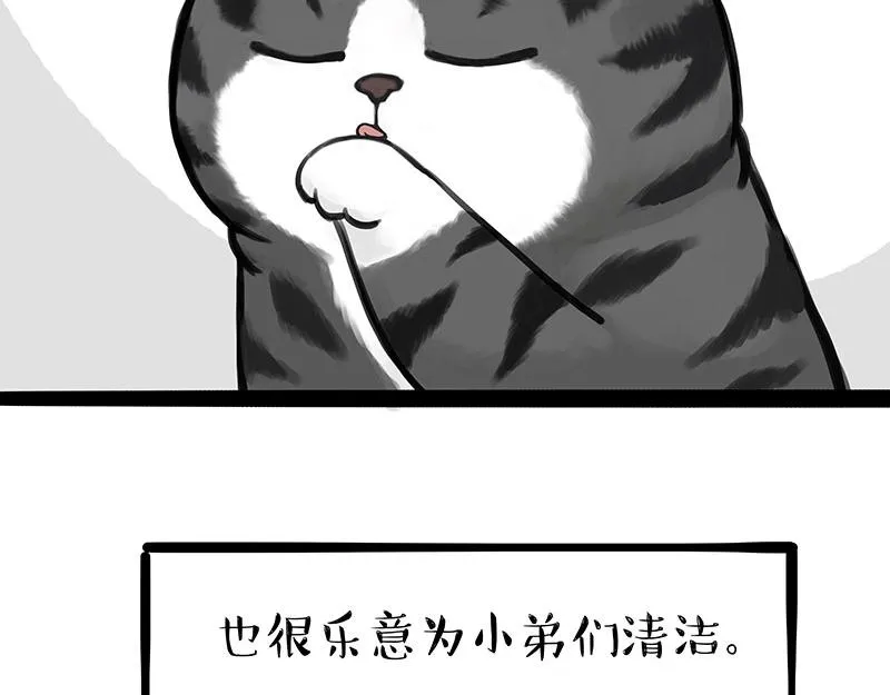 第310话 黑里寻黑 第15页
