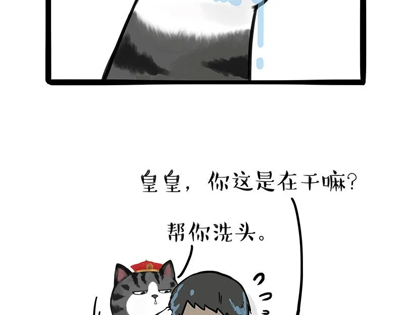 第310话 黑里寻黑 第21页