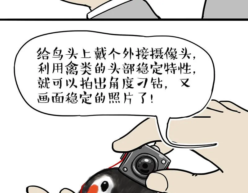 第309话 不妙小喵招 第10页
