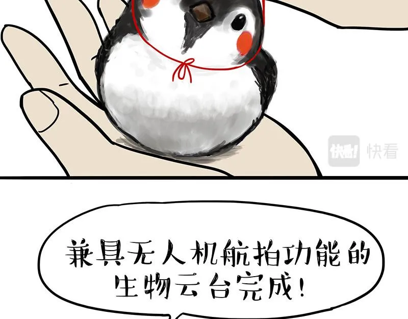 第309话 不妙小喵招 第11页