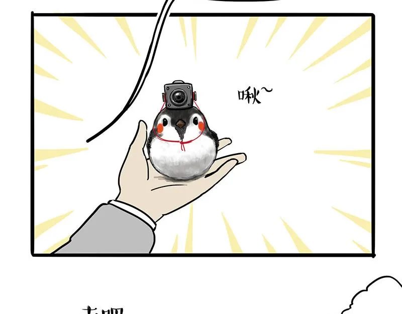 第309话 不妙小喵招 第12页