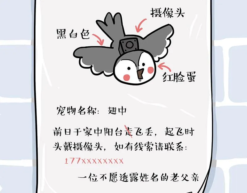 第309话 不妙小喵招 第15页