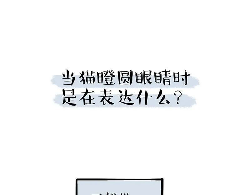 第309话 不妙小喵招 第26页