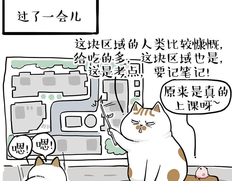 第308话 恶霸最大！ 第6页