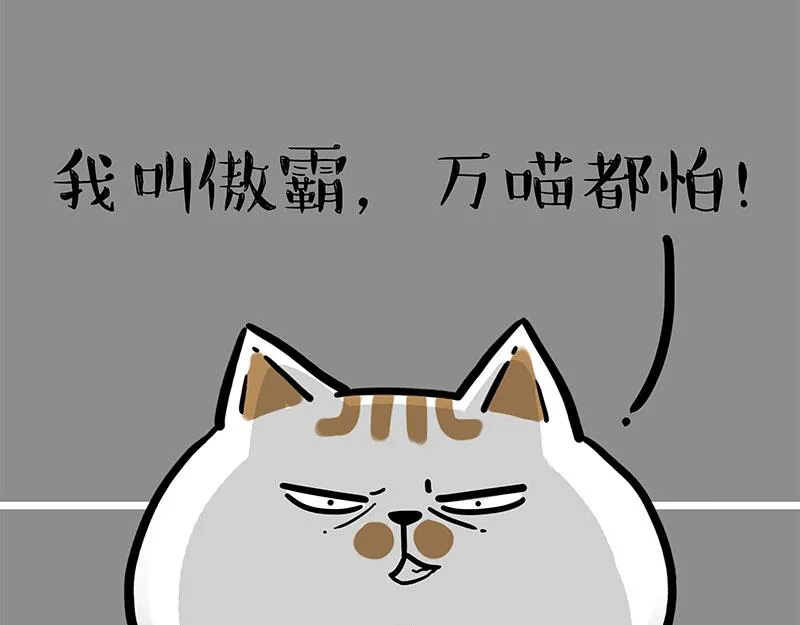 第308话 恶霸最大！ 第17页