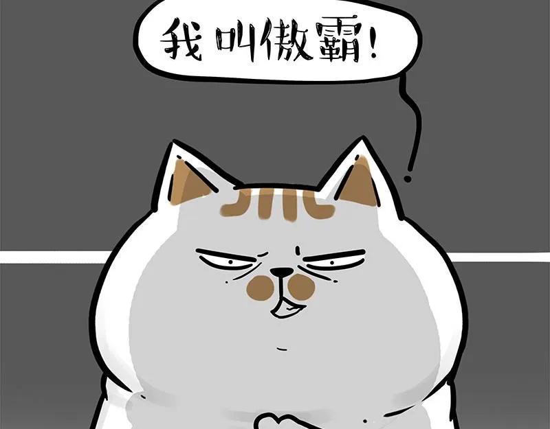 第308话 恶霸最大！ 第23页
