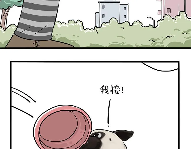 第305话 白表白了 第12页