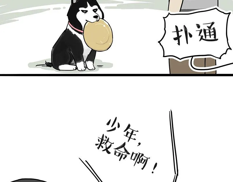第305话 白表白了 第19页