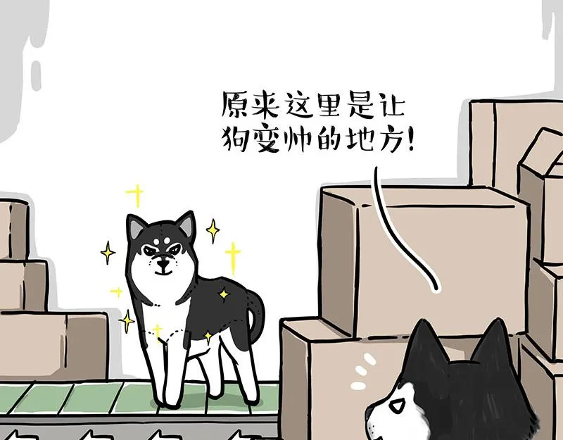第304话 你是真的狗 第5页