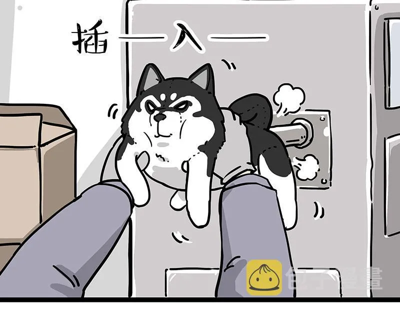 第304话 你是真的狗 第11页