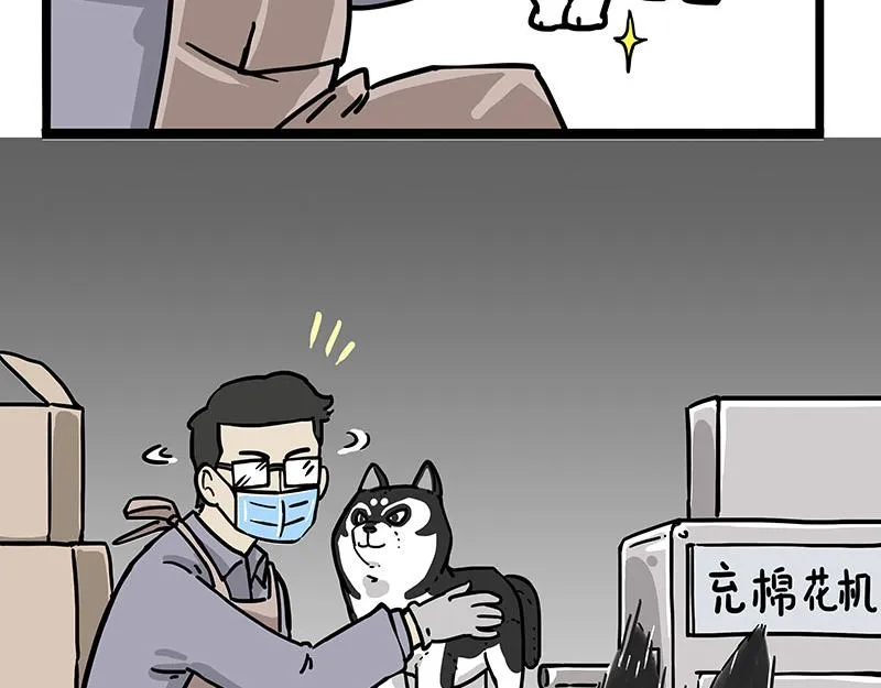 第304话 你是真的狗 第15页