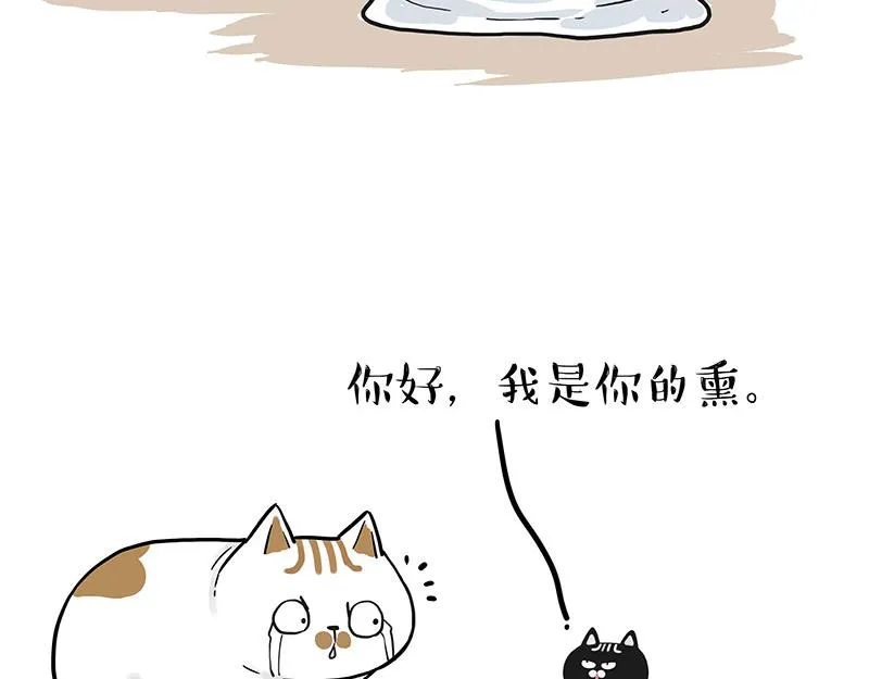 第303话 你有“熏”吗？ 第23页