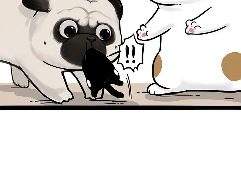 第303话 你有“熏”吗？ 第65页