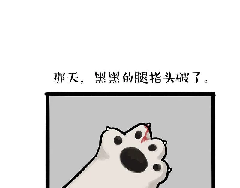第300话 狗也有文化 第20页