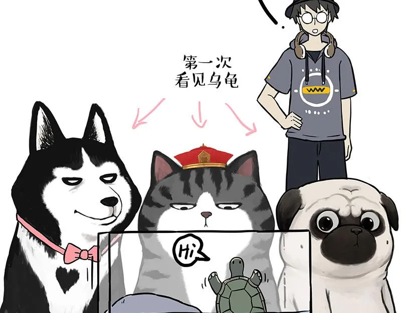 第299话 真假虚实 第5页