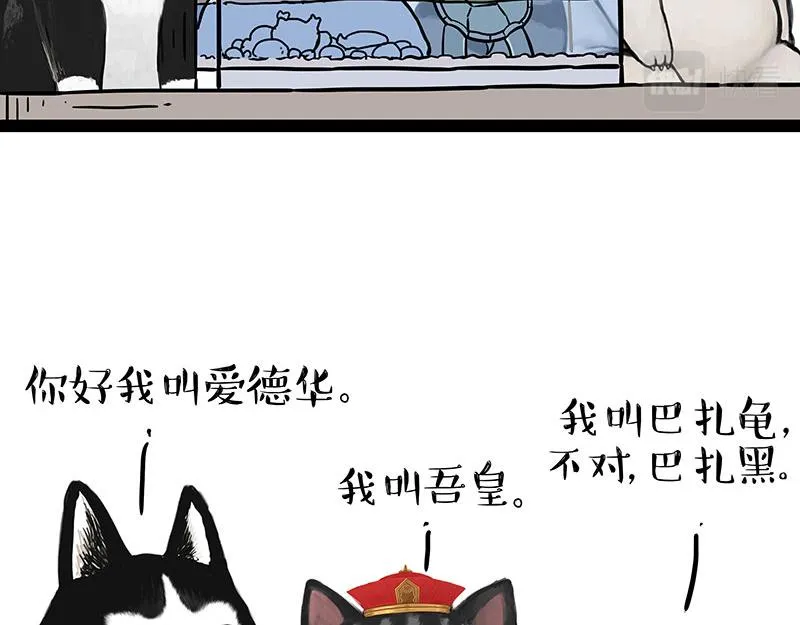 第299话 真假虚实 第6页