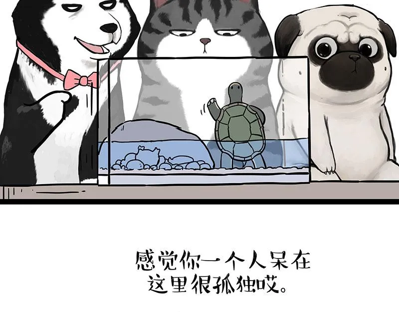 第299话 真假虚实 第7页