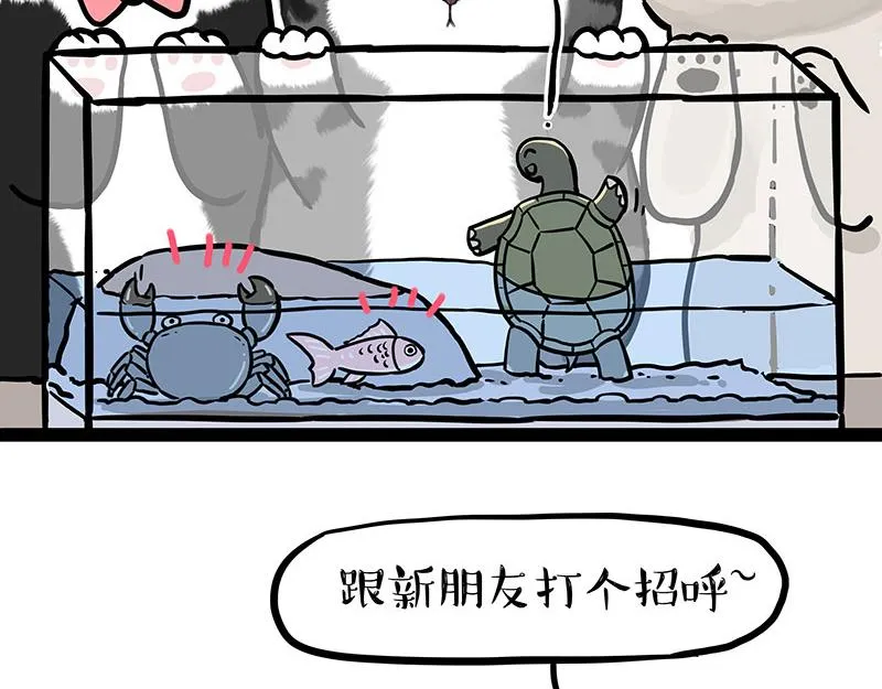 第299话 真假虚实 第11页