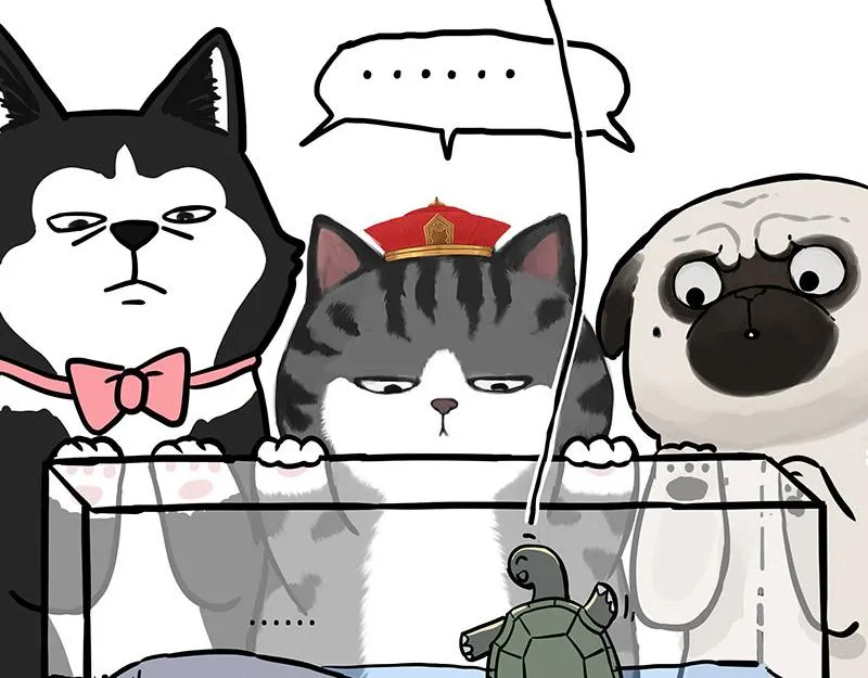 第299话 真假虚实 第12页