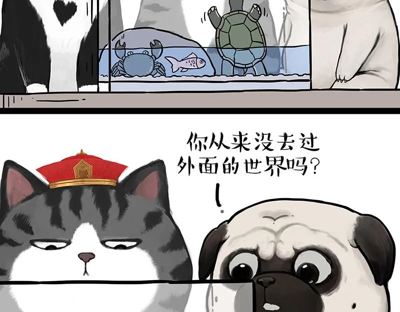 第299话 真假虚实 第17页