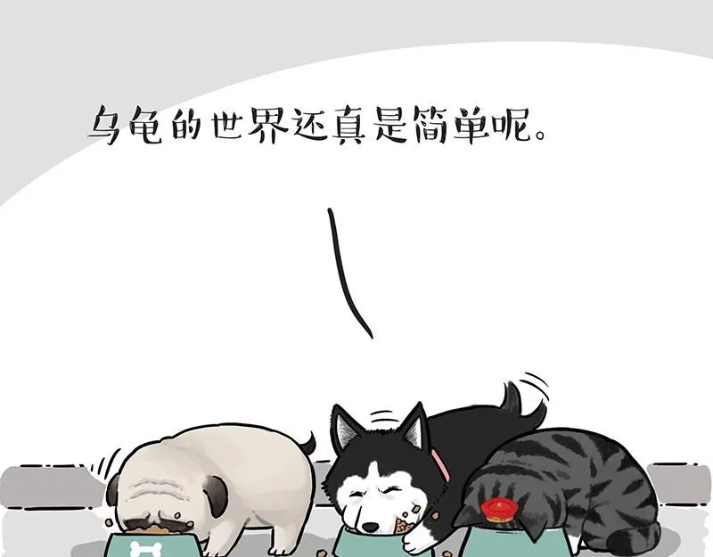 第299话 真假虚实 第20页