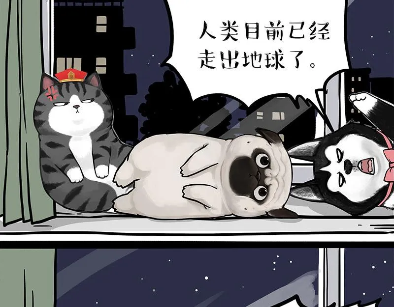 第299话 真假虚实 第39页