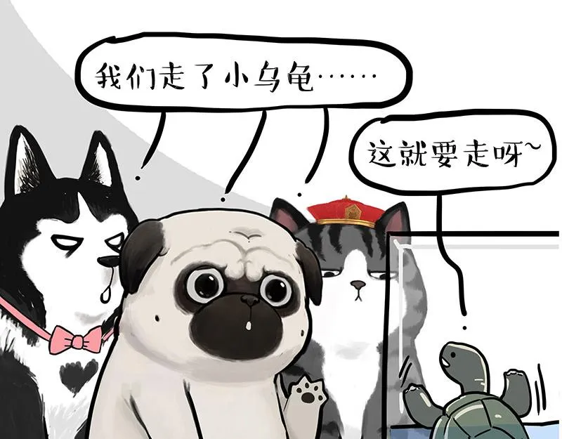 第299话 真假虚实 第53页