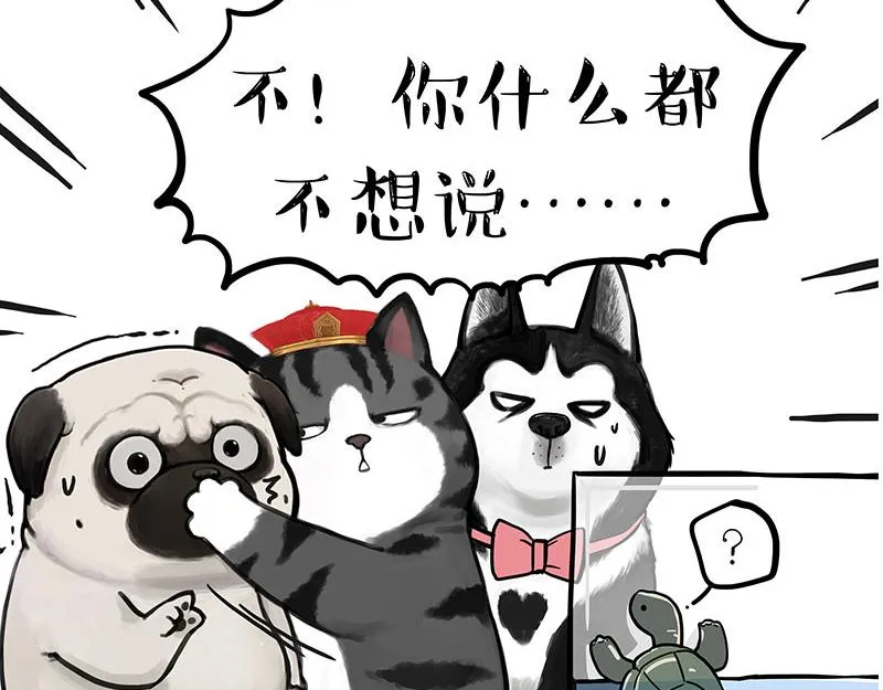 第299话 真假虚实 第57页