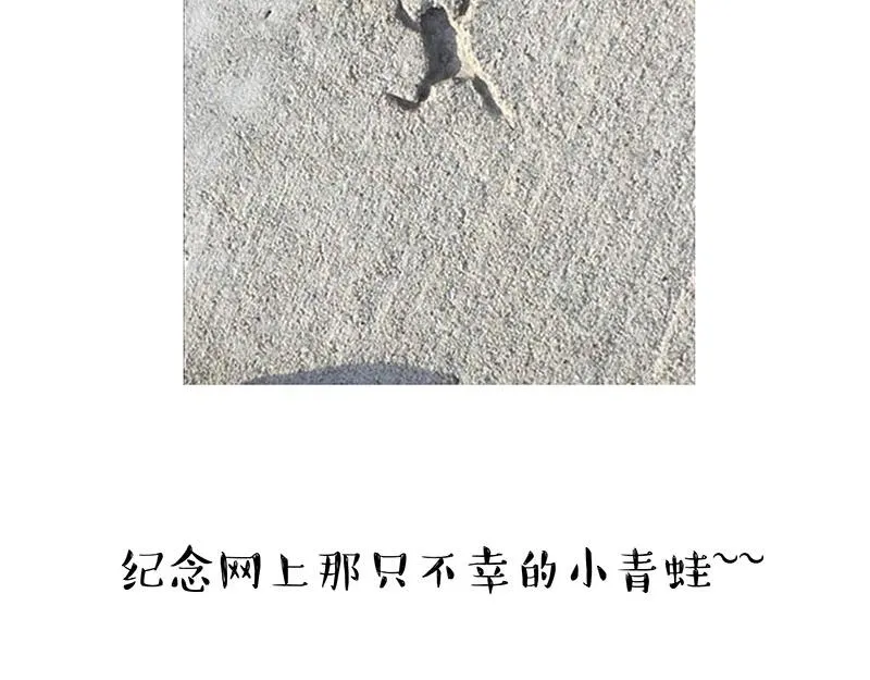 第299话 真假虚实 第104页