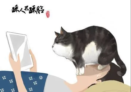 第1话 喵星人都是讲原则的！ 第2页