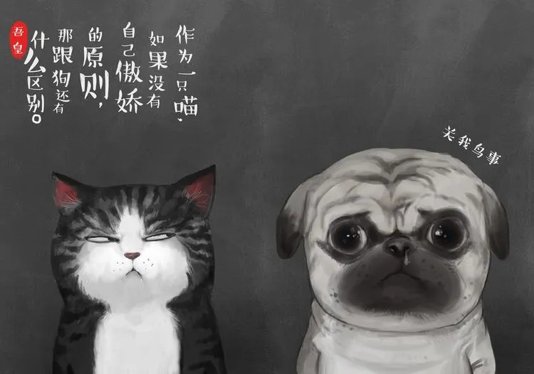第2话 傲娇是猫的原则 第1页