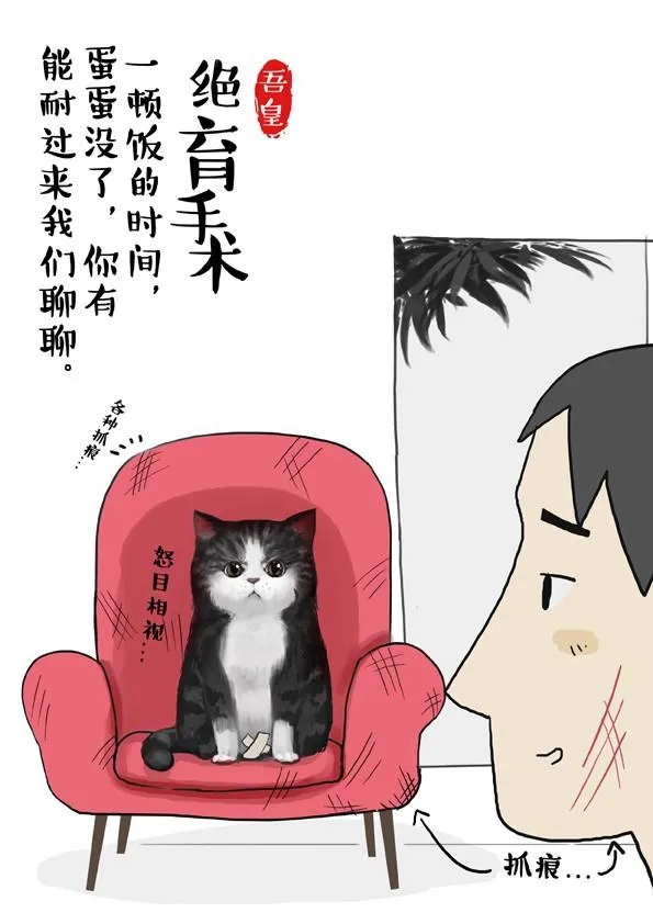 第2话 傲娇是猫的原则 第2页