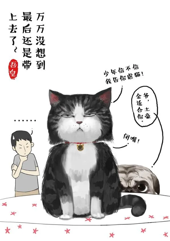 第2话 傲娇是猫的原则 第6页