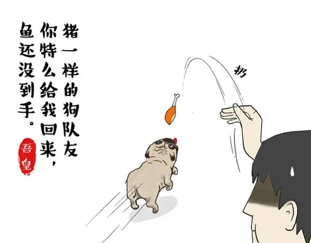 第3话 猪一样的狗队友 第3页