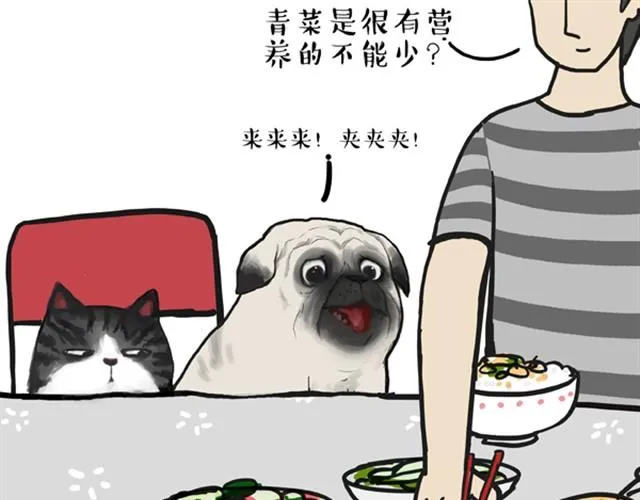 第10话 一碗饭 第5页